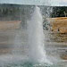 Geysir Springquell