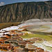 Mammoth Hot Spring
