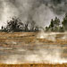 Upper Geyser Basin